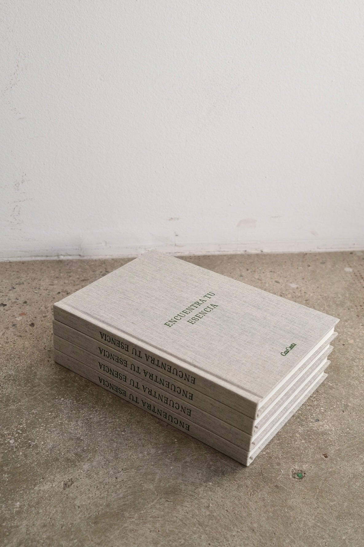 Encuentra Tu Esencia - Journal Guiado